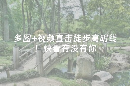 多图+视频直击徒步高明线！快看有没有你