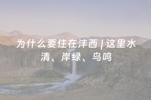 为什么要住在沣西 | 这里水清、岸绿、鸟鸣