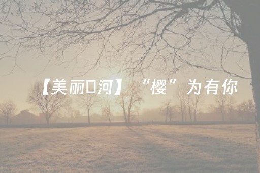 【美丽瀍河】“樱”为有你，所以“花”生 春日写给瀍河的粉色情书已送达！