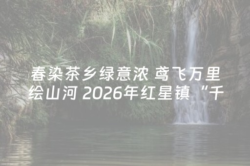 春染茶乡绿意浓 鸢飞万里绘山河 2026年红星镇“千里江山图·纸鸢逐春风”风筝放飞活动盛大启幕