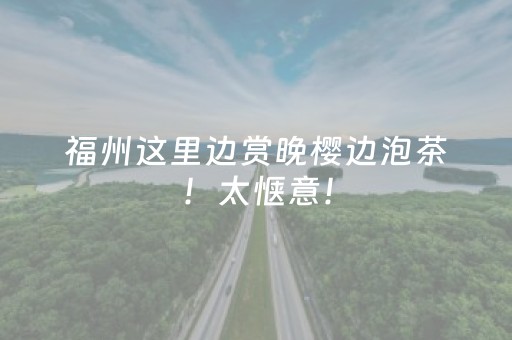 福州这里边赏晚樱边泡茶！太惬意！