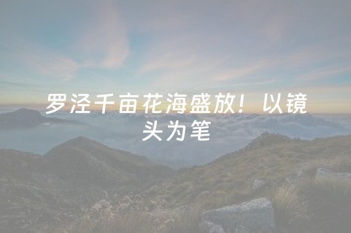 罗泾千亩花海盛放！以镜头为笔，定格金色春日盛景～