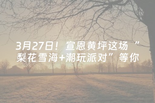 3月27日！宣恩黄坪这场“梨花雪海+潮玩派对”等你来~