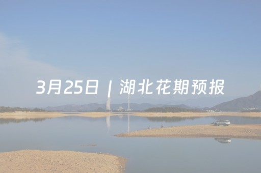 3月25日｜湖北花期预报