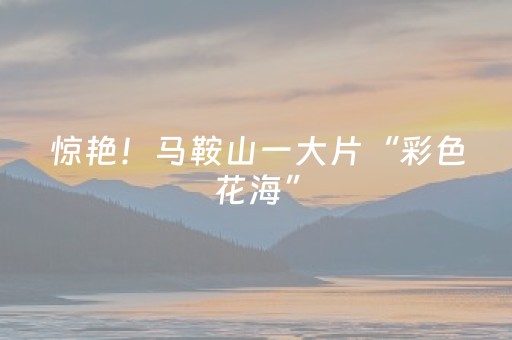 惊艳！马鞍山一大片“彩色花海”，开好了！