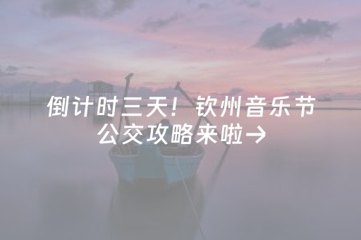 倒计时三天！钦州音乐节公交攻略来啦→