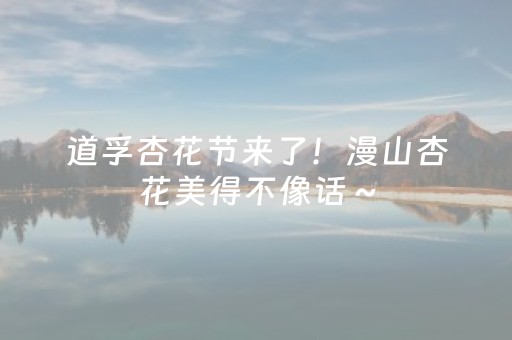 道孚杏花节来了！漫山杏花美得不像话～