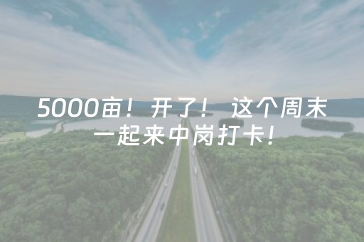 5000亩！开了！ 这个周末一起来中岗打卡！（附攻略）→