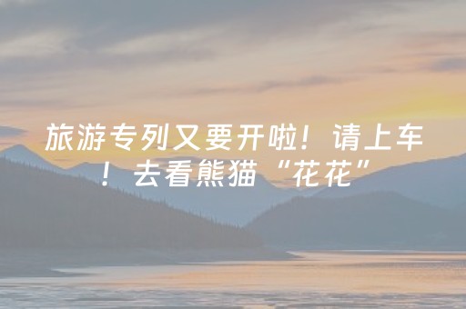 旅游专列又要开啦！请上车！去看熊猫“花花”