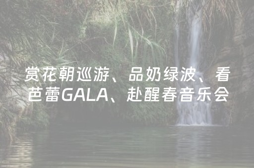 赏花朝巡游、品奶绿波、看芭蕾GALA、赴醒春音乐会……周末来蜀山，精彩不重样！
