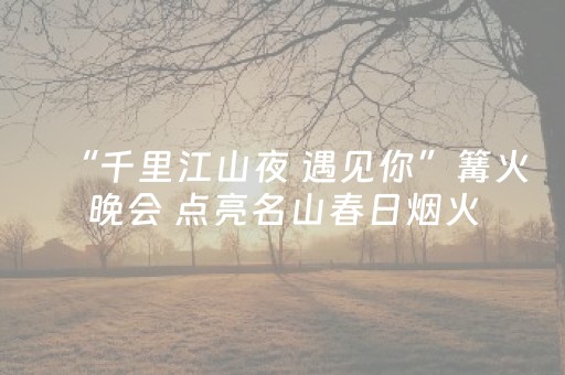 “千里江山夜 遇见你”篝火晚会 点亮名山春日烟火