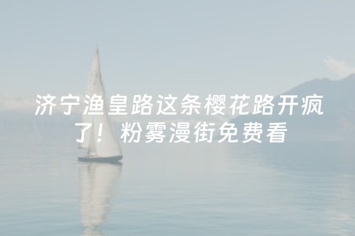 济宁渔皇路这条樱花路开疯了！粉雾漫街免费看