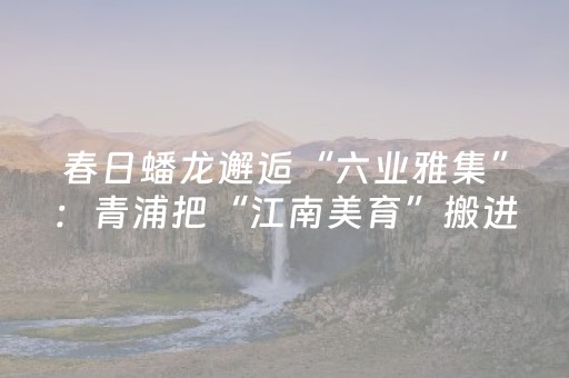 春日蟠龙邂逅“六业雅集”：青浦把“江南美育”搬进烟火市集