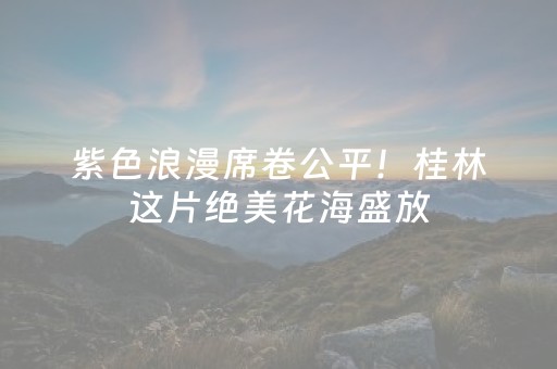 紫色浪漫席卷公平！桂林这片绝美花海盛放，惊艳了整个春天！