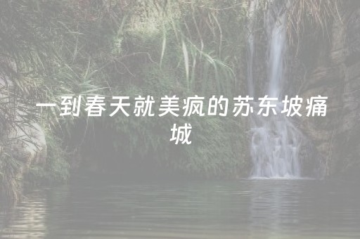 一到春天就美疯的苏东坡痛城，早该火了