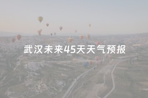 武汉未来45天天气预报（武汉未来45天天气预报情况查询）