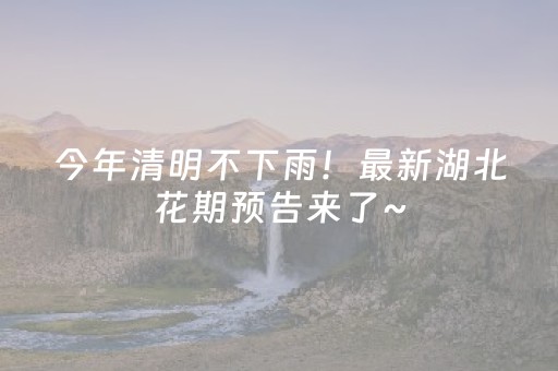 今年清明不下雨！最新湖北花期预告来了~
