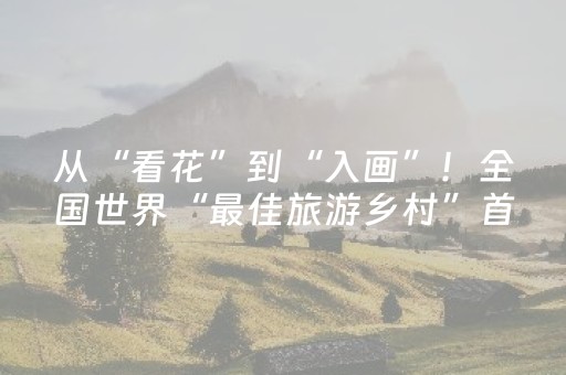 从“看花”到“入画”！全国世界“最佳旅游乡村”首聚丹巴 2026丹巴梨花音乐骑行季启幕