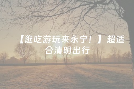 【逛吃游玩来永宁！】超适合清明出行，赏花、采摘看这里~