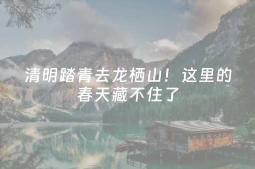 清明踏青去龙栖山！这里的春天藏不住了