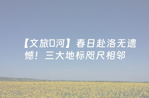 【文旅瀍河】春日赴洛无遗憾！三大地标咫尺相邻，神州牡丹园四月整月赏国色