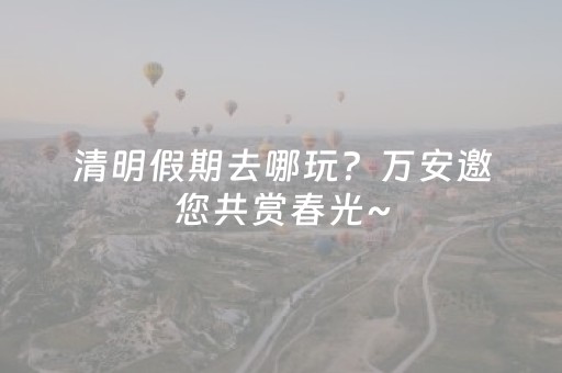 清明假期去哪玩？万安邀您共赏春光~