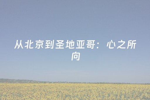 从北京到圣地亚哥：心之所向，遇见西班牙