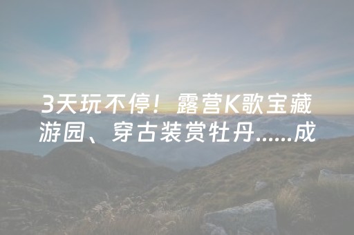 3天玩不停！露营K歌宝藏游园、穿古装赏牡丹......成武郜鼎一站式承包你的假期