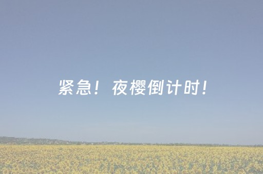 紧急！夜樱倒计时！