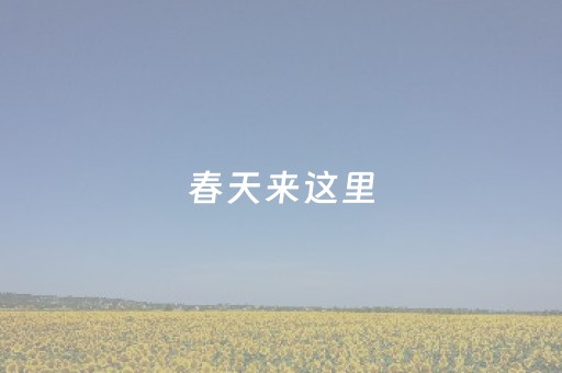 春天来这里，“筝”好！