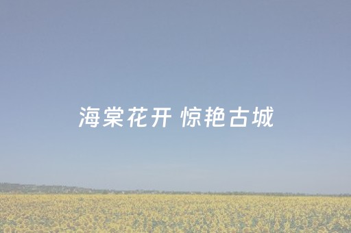 海棠花开 惊艳古城