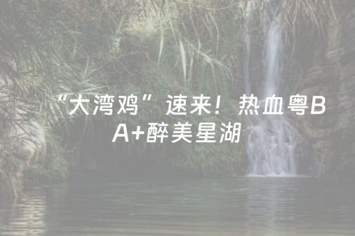 “大湾鸡”速来！热血粤BA+醉美星湖，攻略在手，说走就走！