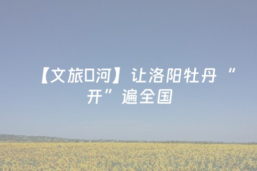 【文旅瀍河】让洛阳牡丹“开”遍全国，更开出“她力量”