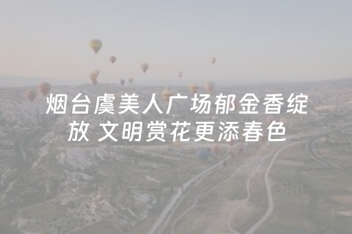 烟台虞美人广场郁金香绽放 文明赏花更添春色