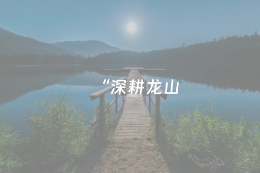 “深耕龙山，携手共赢”——这场交流会上的三句话掷地有声