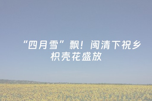 “四月雪”飘！闽清下祝乡枳壳花盛放，错过等一年！