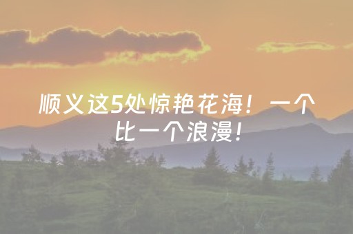 顺义这5处惊艳花海！一个比一个浪漫！