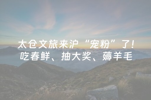太仓文旅来沪“宠粉”了！吃春鲜、抽大奖、薅羊毛，一站搞定