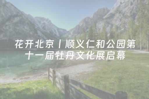 花开北京丨顺义仁和公园第十一届牡丹文化展启幕