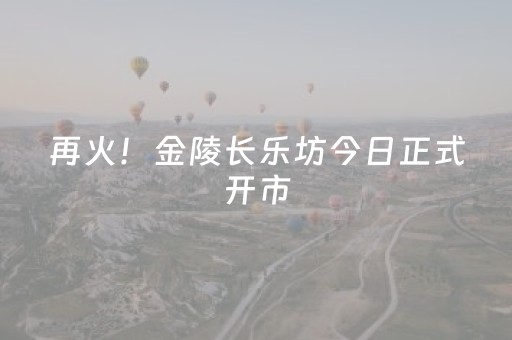 再火！金陵长乐坊今日正式开市