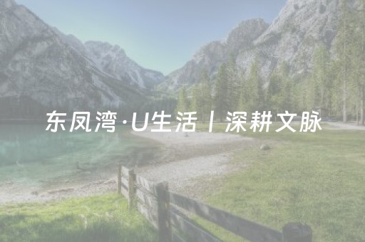 东凤湾·U生活丨深耕文脉，漫游东西罟