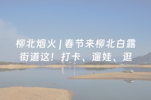柳北烟火 | 春节来柳北白露街道这！打卡、遛娃、逛吃，一站式嗨玩~
