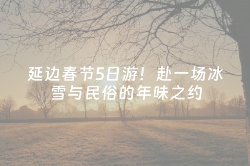 延边春节5日游！赴一场冰雪与民俗的年味之约
