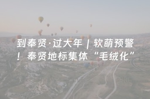 到奉贤·过大年｜软萌预警！奉贤地标集体“毛绒化”，喊你过大年！