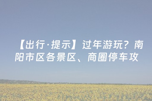 【出行·提示】过年游玩？南阳市区各景区、商圈停车攻略来了！