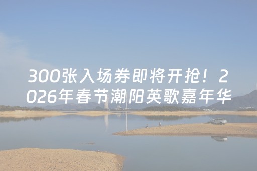 300张入场券即将开抢！2026年春节潮阳英歌嘉年华文光塔广场集中展演区入场券，等你来“抢”！