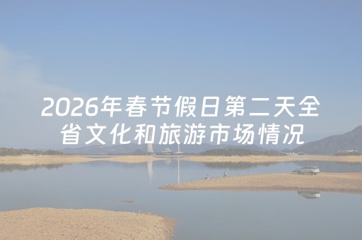 2026年春节假日第二天全省文化和旅游市场情况