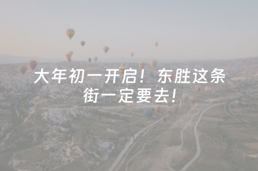 大年初一开启！东胜这条街一定要去！