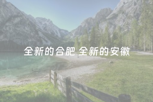 全新的合肥 全新的安徽