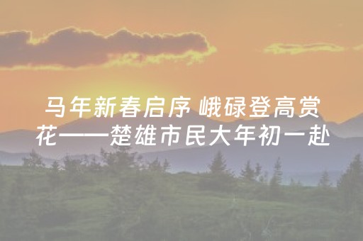 马年新春启序 峨碌登高赏花——楚雄市民大年初一赴峨碌公园寄愿迎福